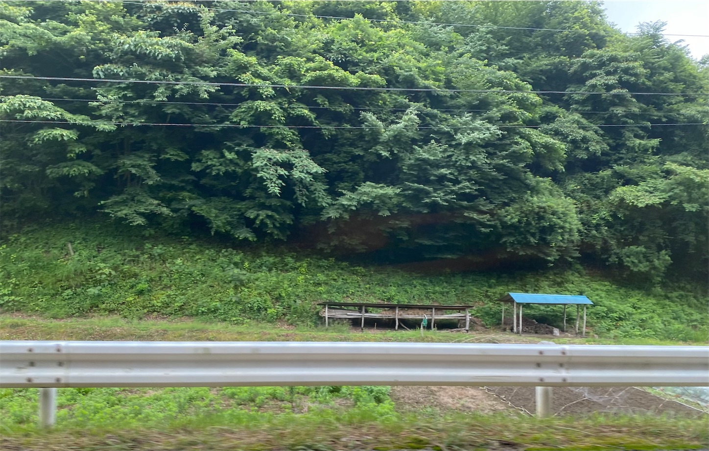 f:id:opachosalon:20221103180038j:image