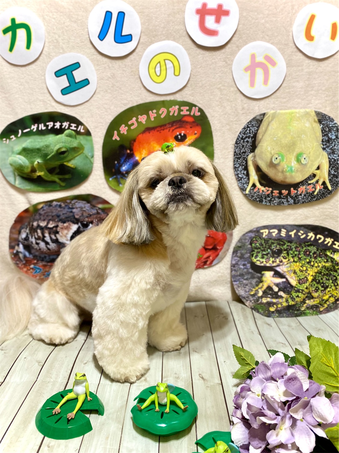 f:id:opachosalon:20221224113910j:image f:id:opachosalon:20221224113910j:image