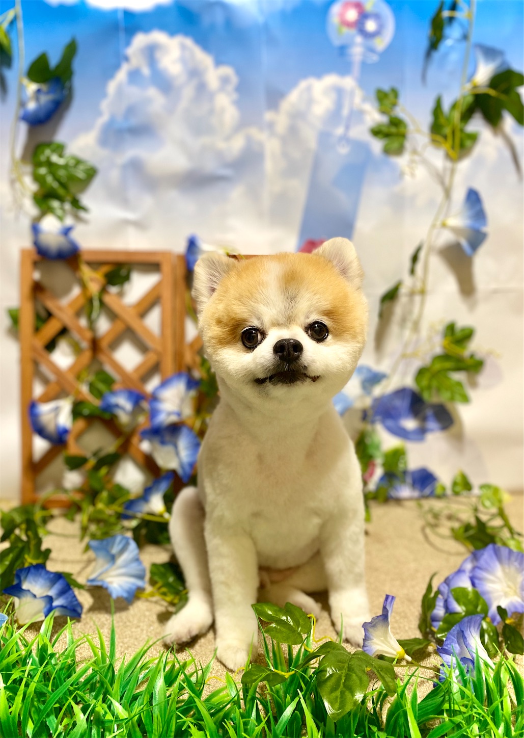 f:id:opachosalon:20221226060347j:image