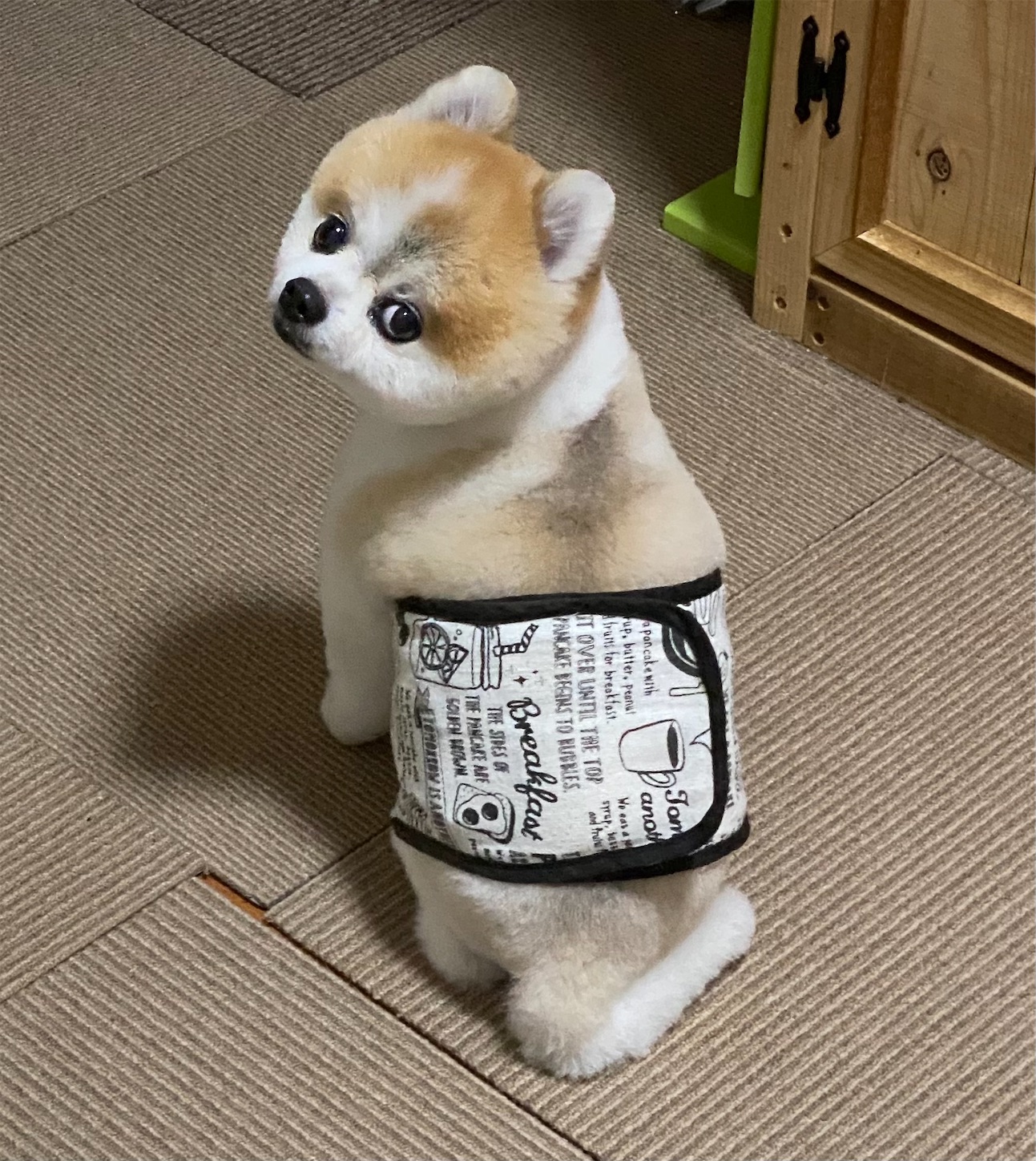 f:id:opachosalon:20221226060351j:image