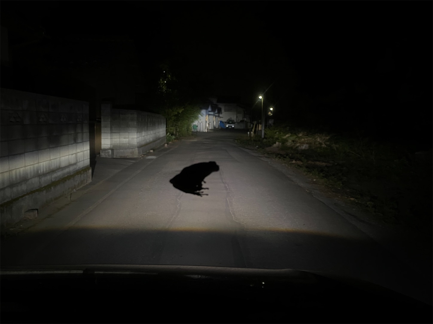 f:id:opachosalon:20221226060413j:image