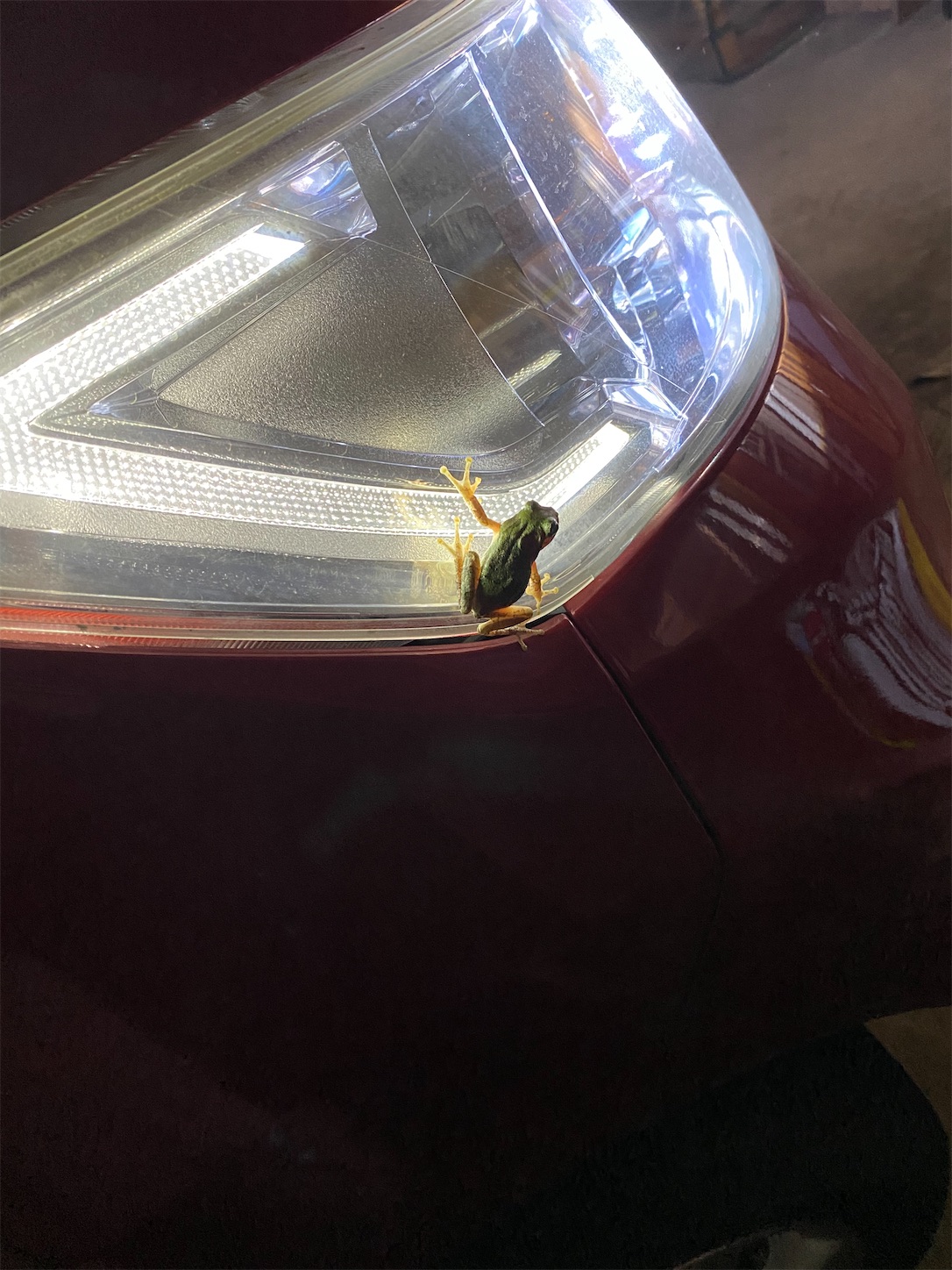 f:id:opachosalon:20221226060416j:image