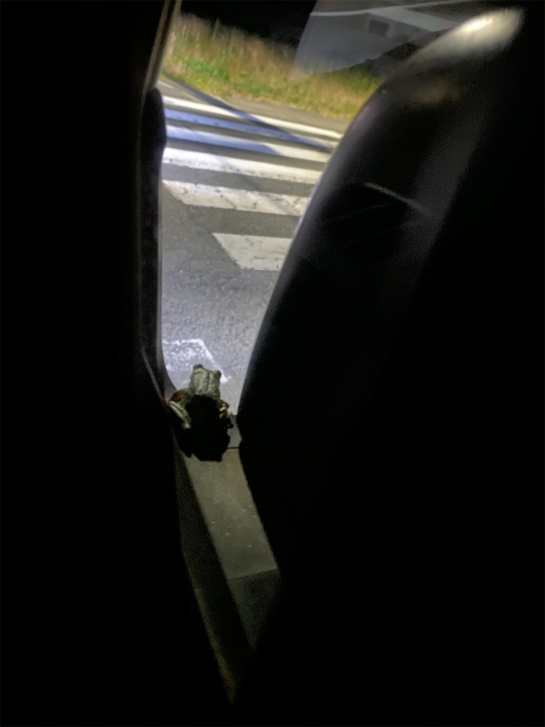 f:id:opachosalon:20221226060426j:image