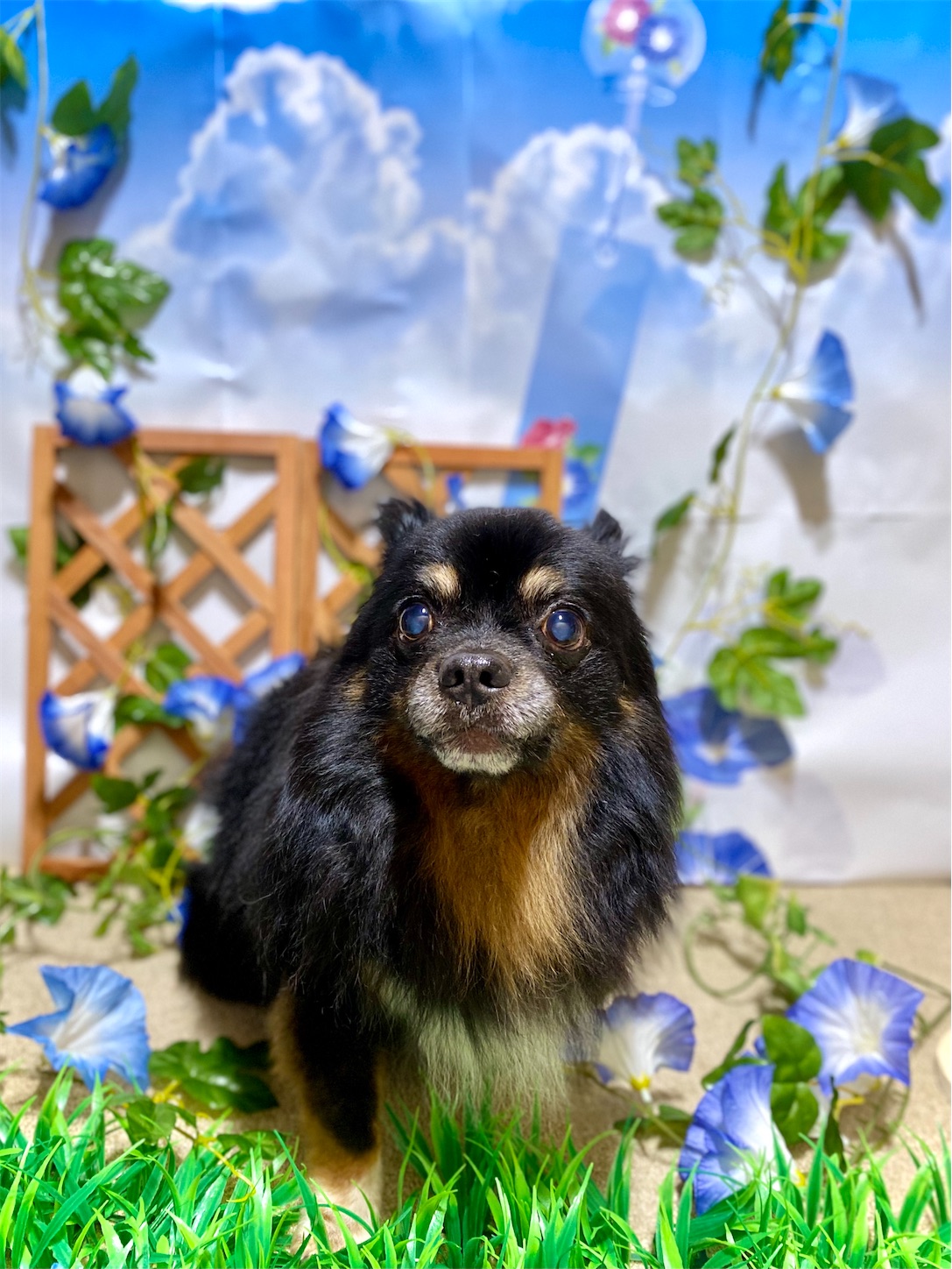 f:id:opachosalon:20221226060435j:image