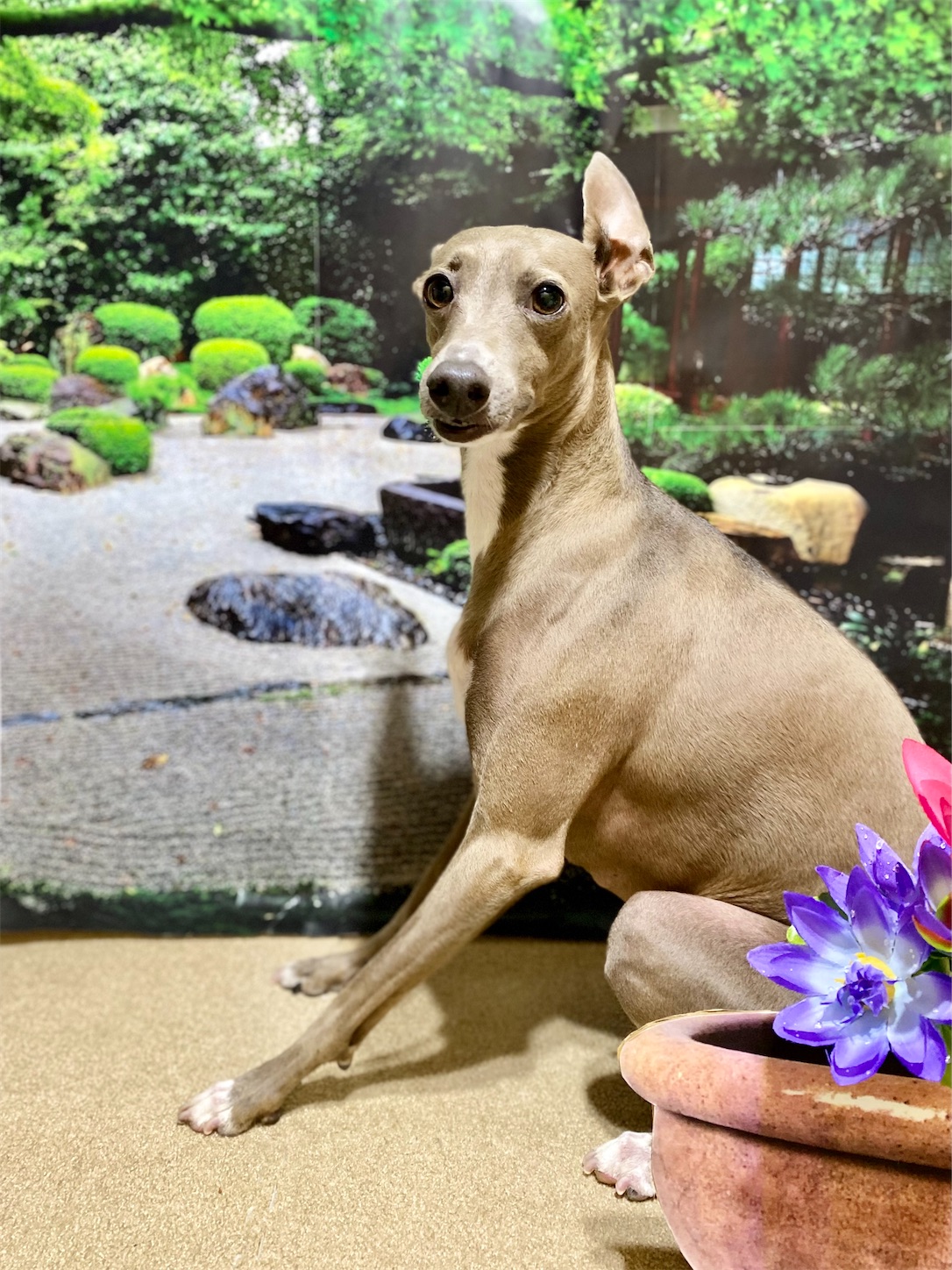 f:id:opachosalon:20230131162903j:image