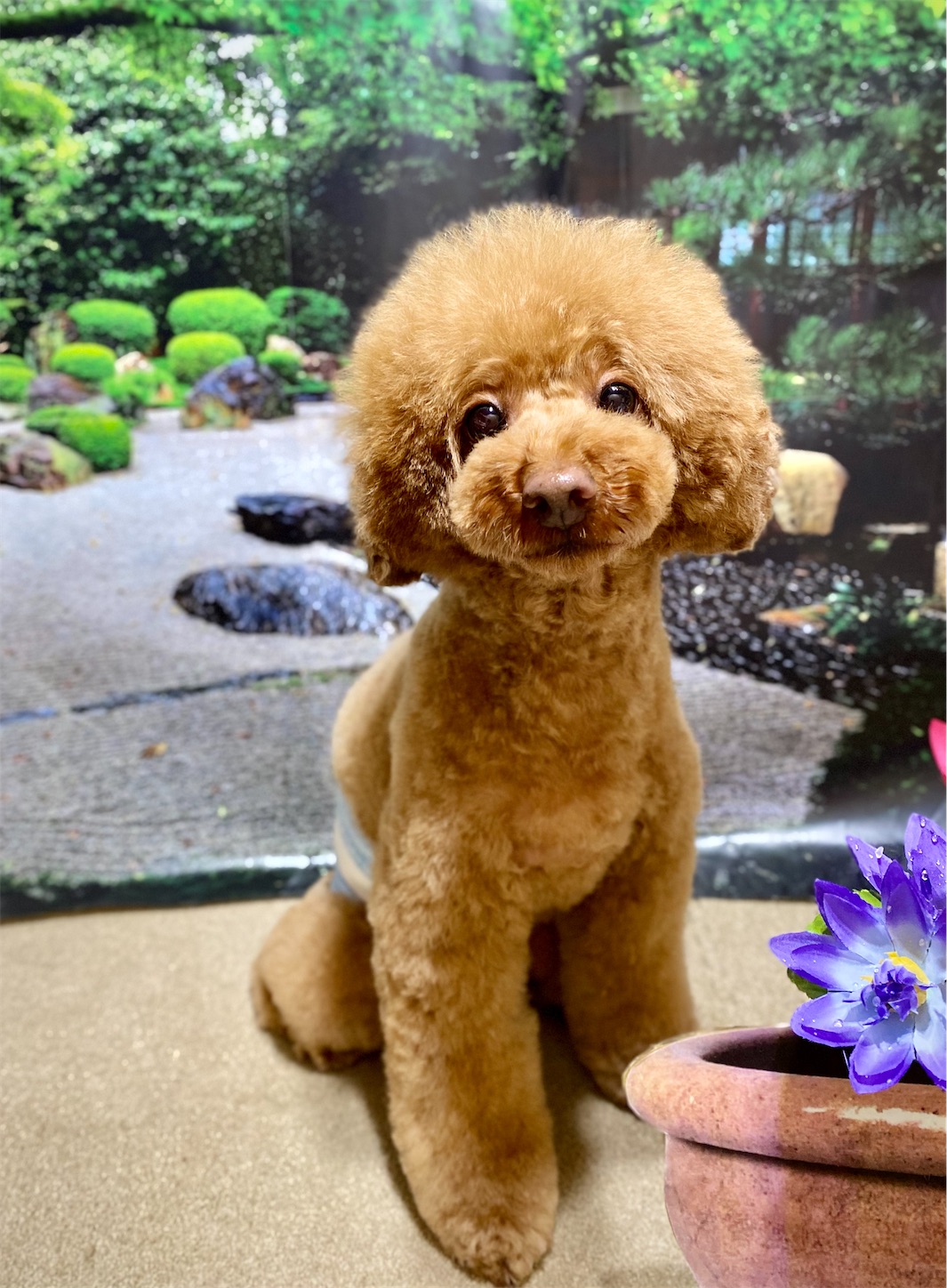 f:id:opachosalon:20230131162914j:image