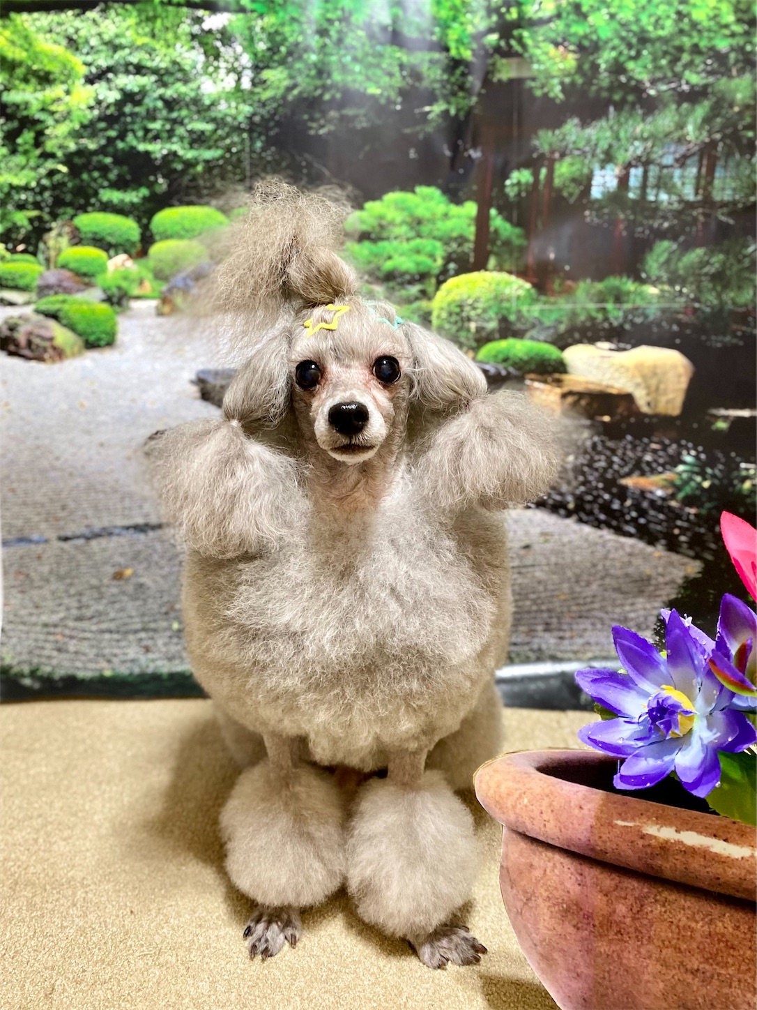 f:id:opachosalon:20230131162917j:image