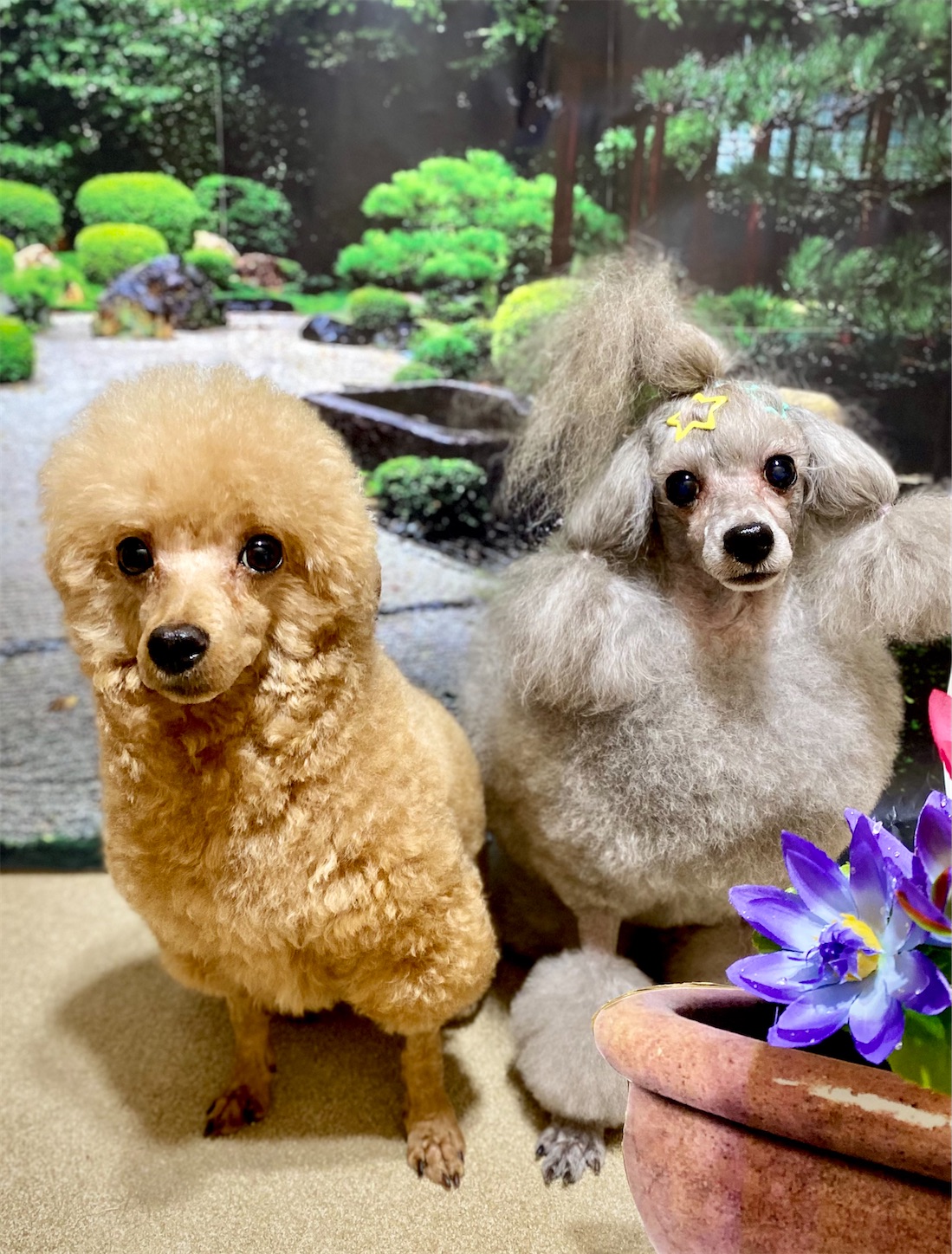 f:id:opachosalon:20230131162921j:image