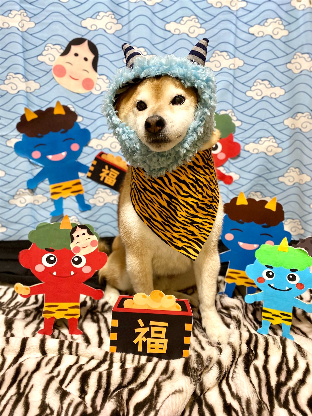 f:id:opachosalon:20231111022010j:image