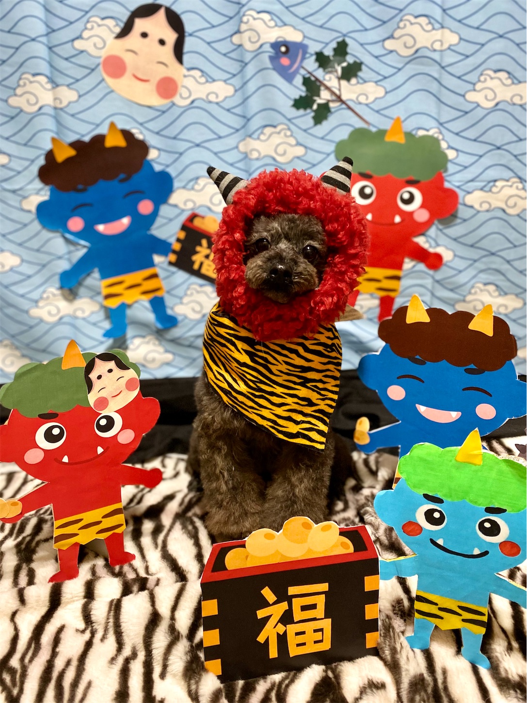 f:id:opachosalon:20231111022020j:image