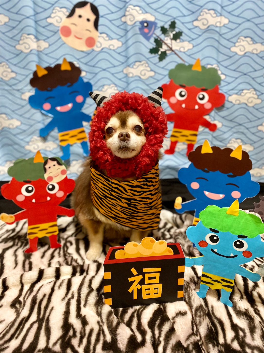 f:id:opachosalon:20231111022024j:image