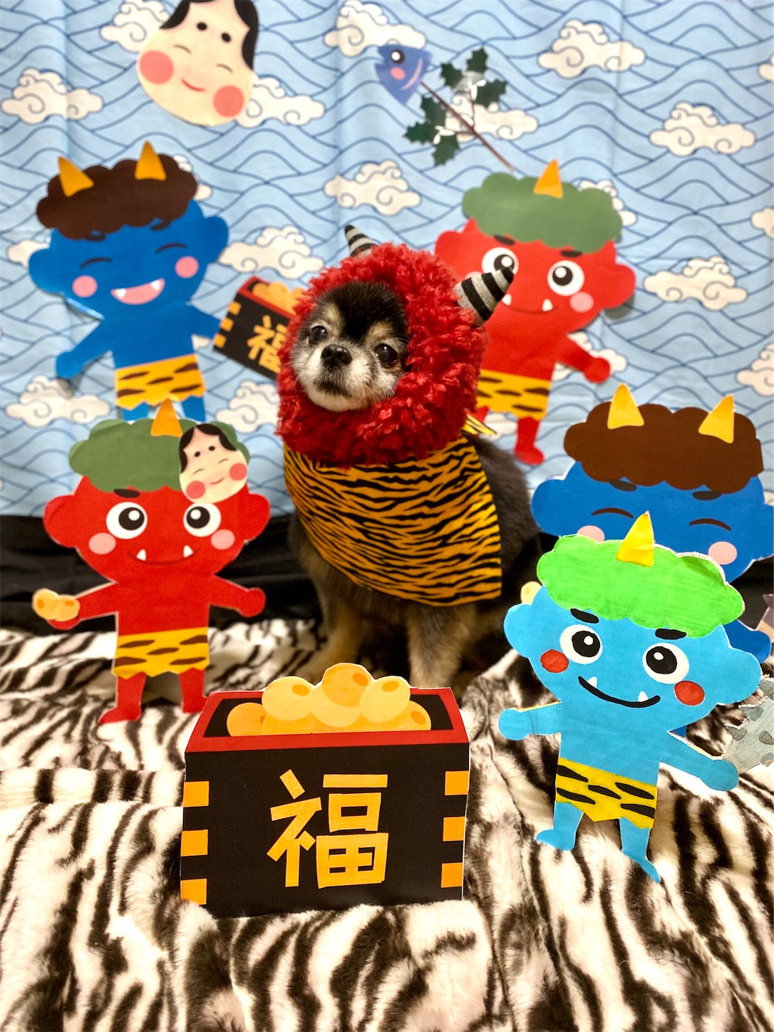 f:id:opachosalon:20231111022027j:image