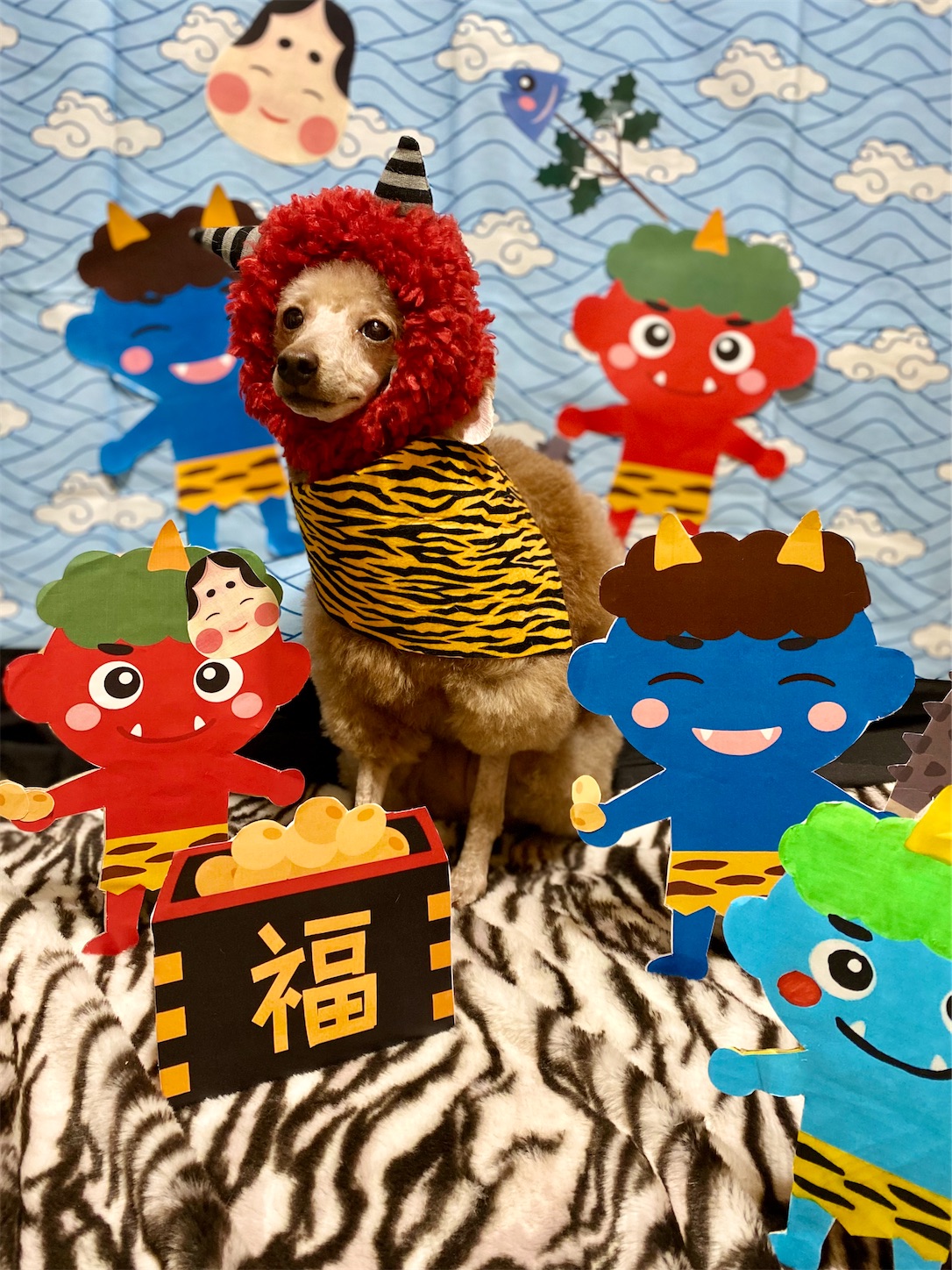 f:id:opachosalon:20231111022030j:image
