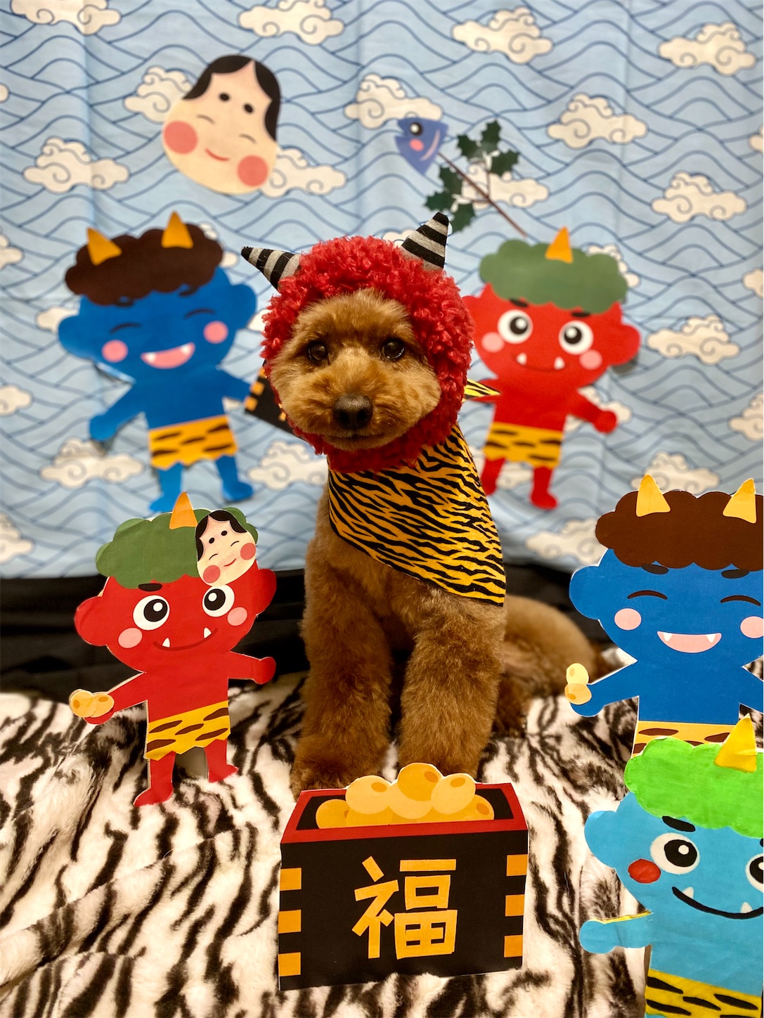 f:id:opachosalon:20231111022034j:image