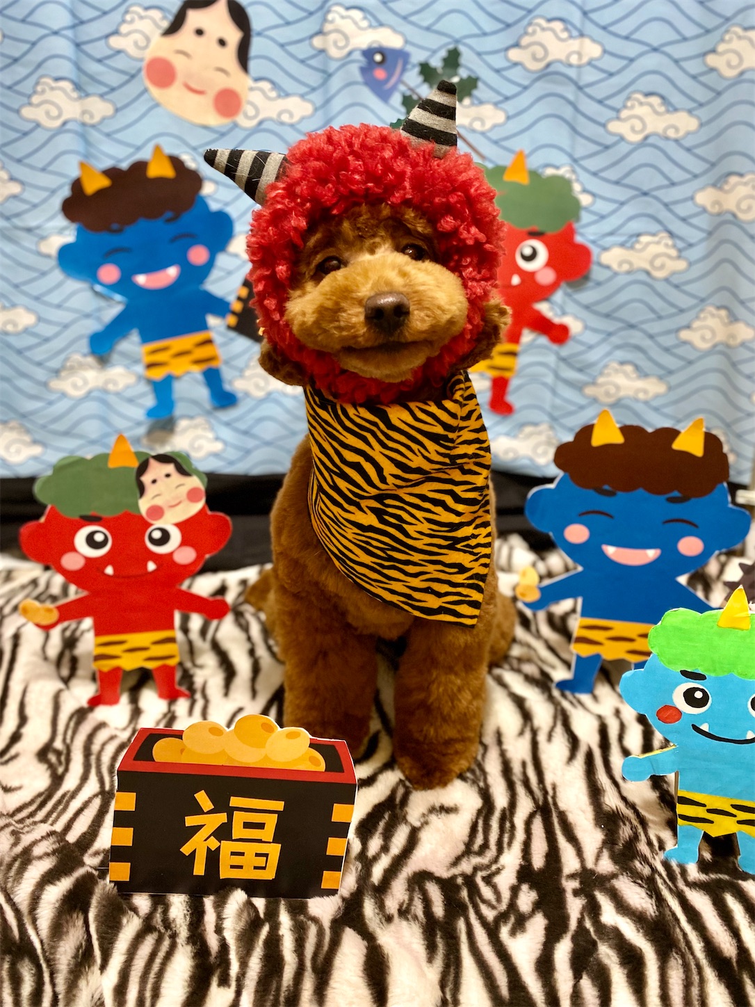 f:id:opachosalon:20231111022037j:image