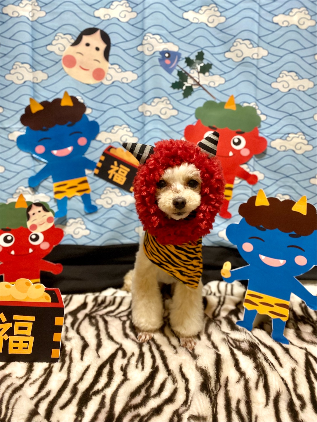f:id:opachosalon:20231111022041j:image