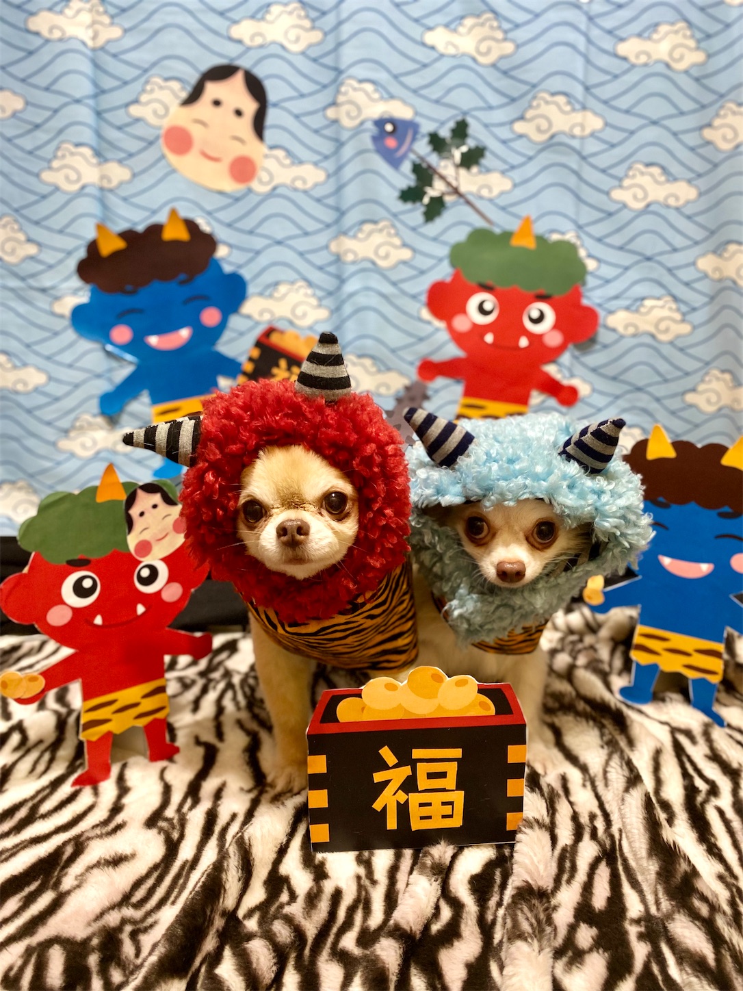 f:id:opachosalon:20231111022045j:image