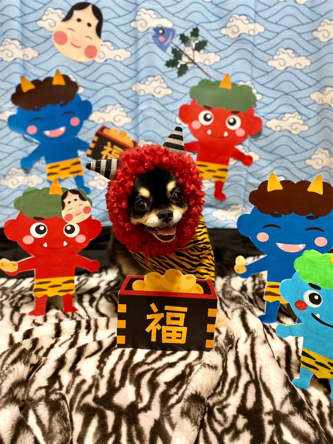 f:id:opachosalon:20231111022051j:image