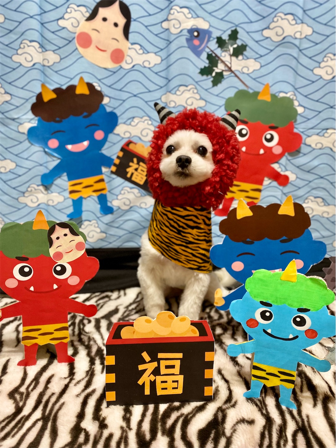 f:id:opachosalon:20231111022054j:image