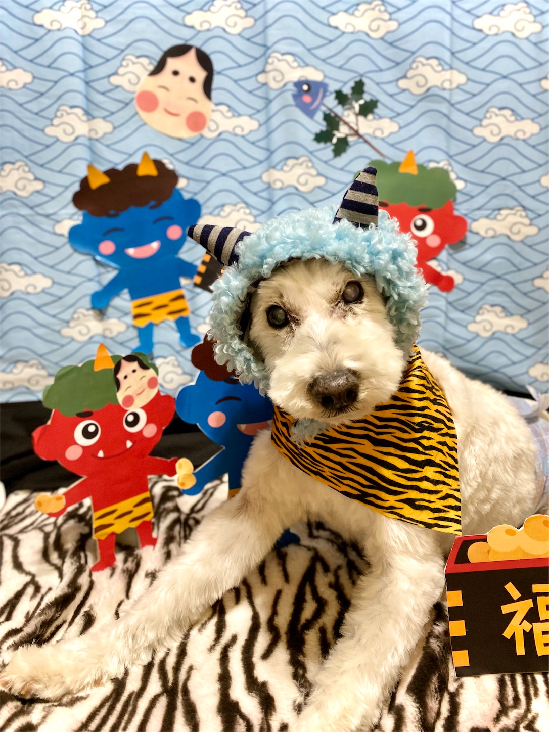 f:id:opachosalon:20231111022111j:image