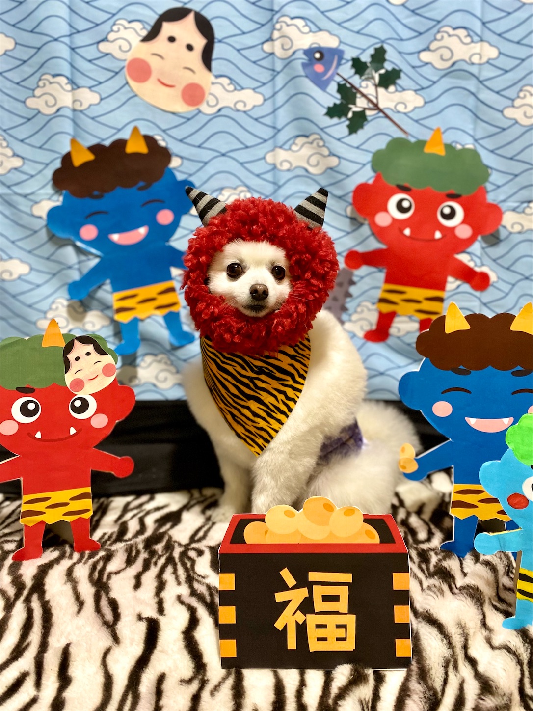 f:id:opachosalon:20231111022115j:image