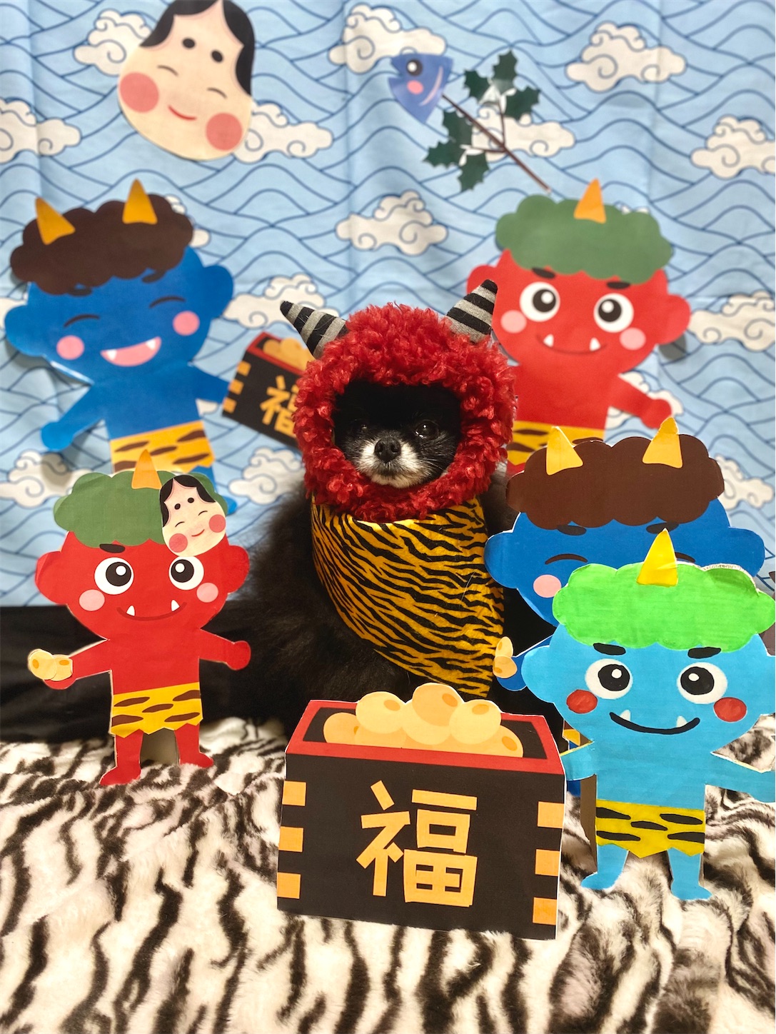 f:id:opachosalon:20231111023314j:image