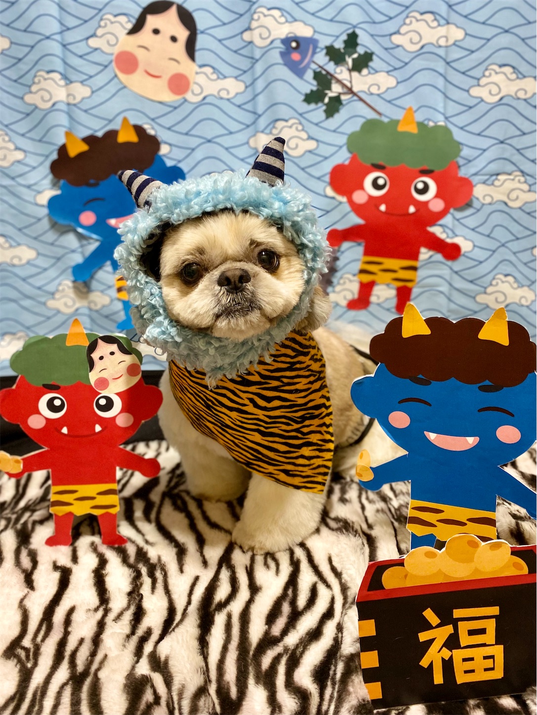 f:id:opachosalon:20231111023901j:image