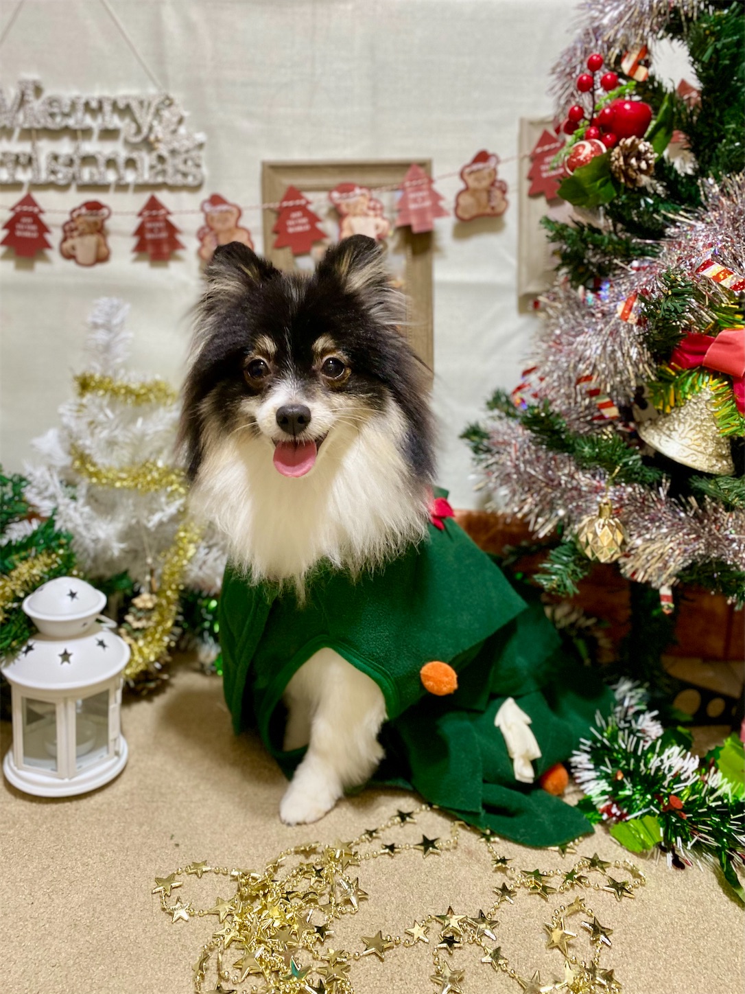 f:id:opachosalon:20241201000120j:image f:id:opachosalon:20241201000120j:image