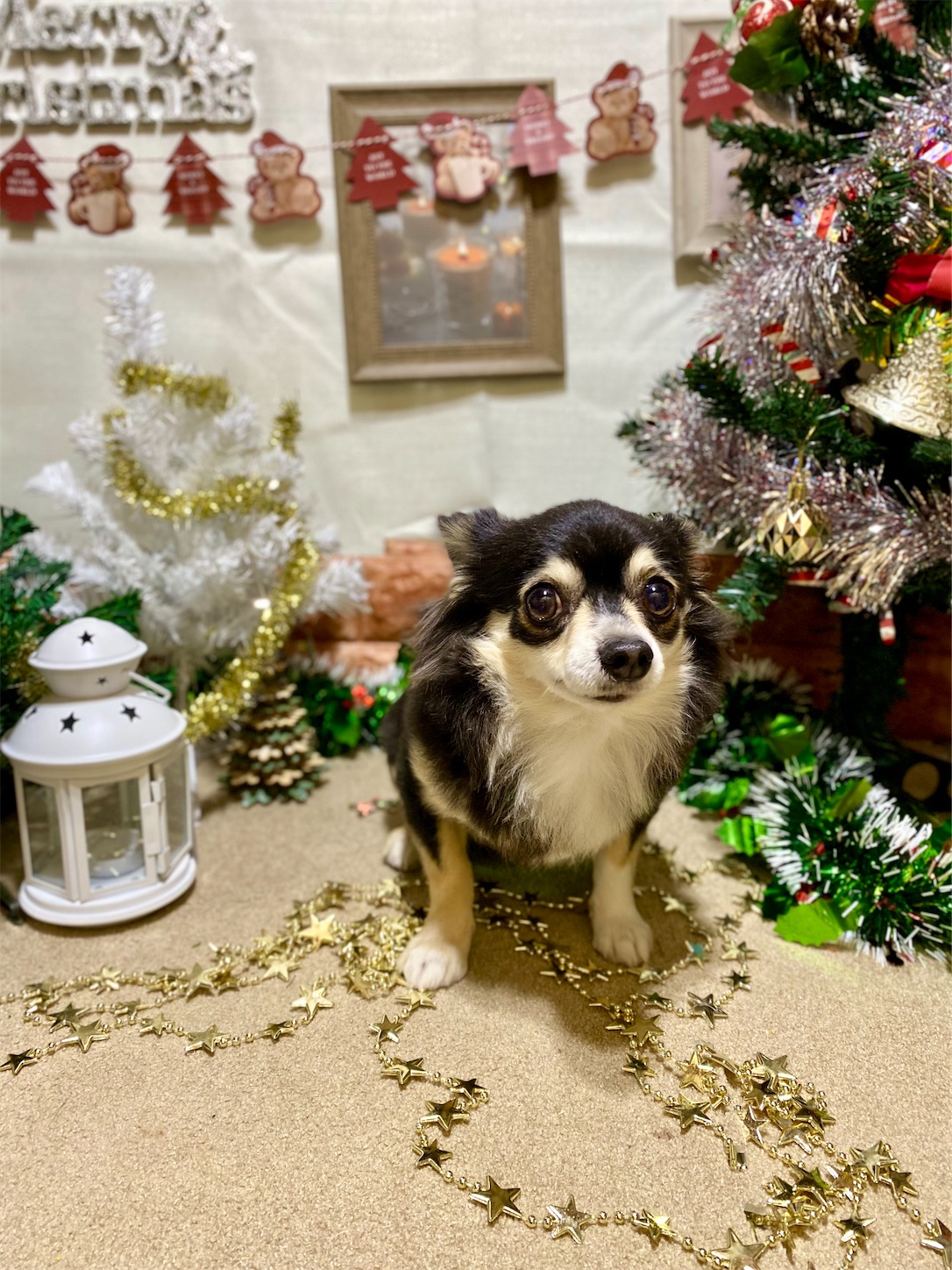 f:id:opachosalon:20241201000142j:image f:id:opachosalon:20241201000142j:image