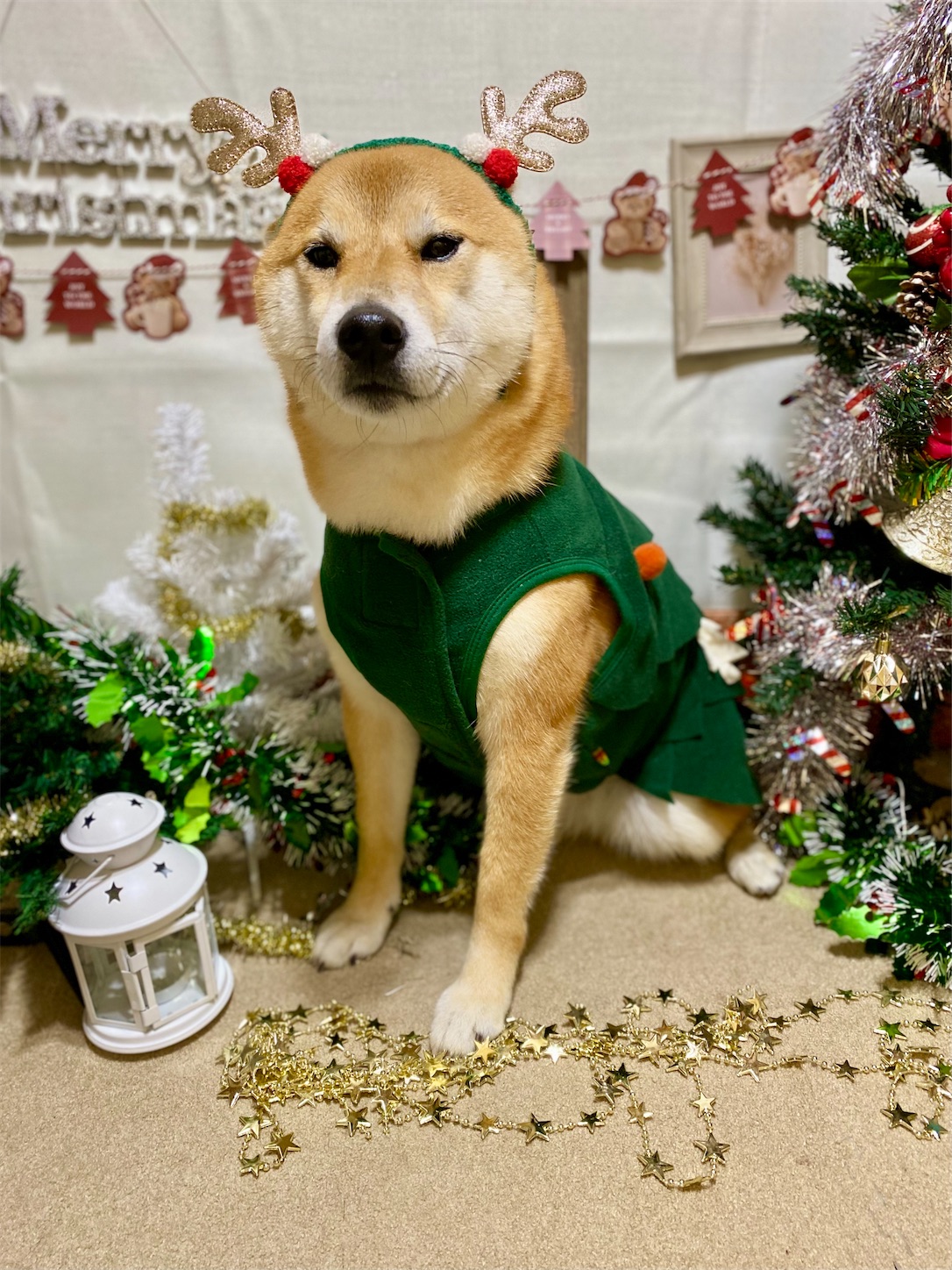 f:id:opachosalon:20241231030956j:image f:id:opachosalon:20241231030956j:image