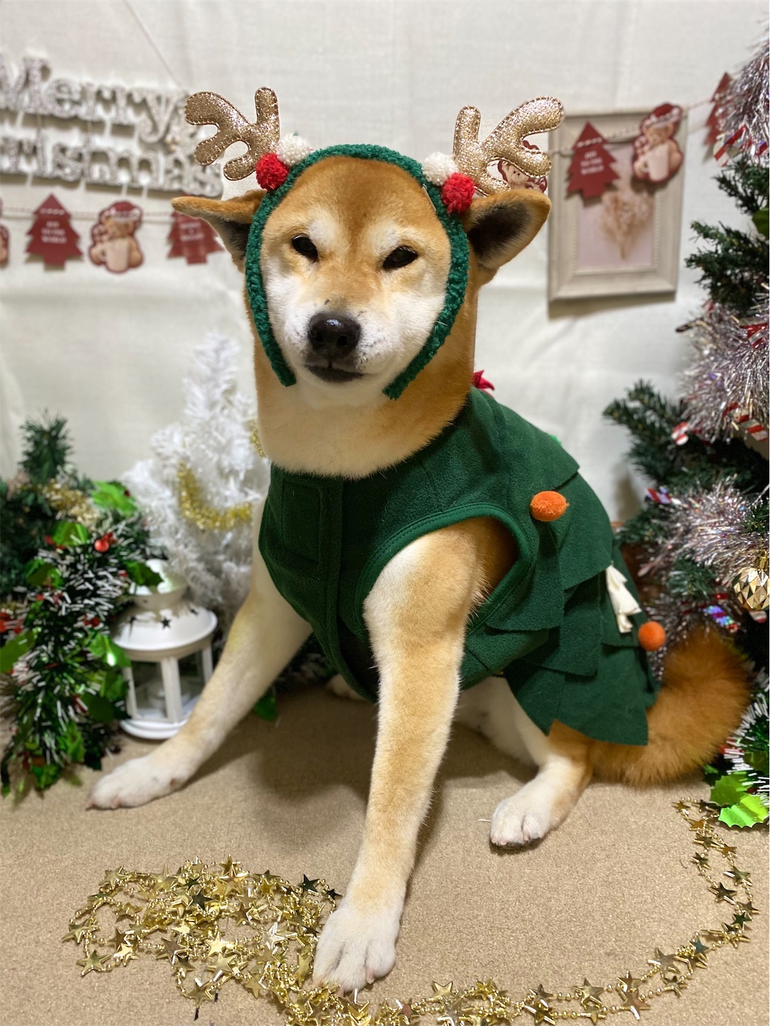 f:id:opachosalon:20241231031133j:image f:id:opachosalon:20241231031133j:image