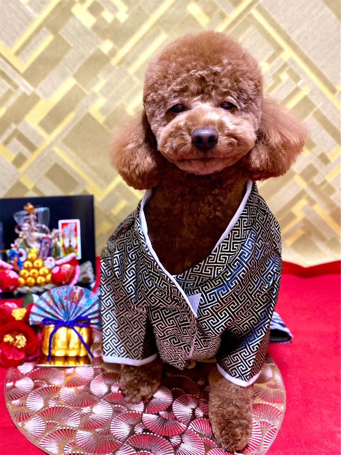 f:id:opachosalon:20241231235812j:image