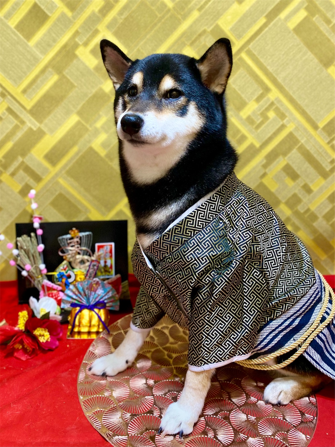 f:id:opachosalon:20241231235910j:image