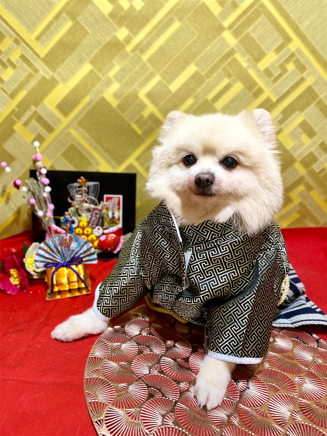f:id:opachosalon:20241231235914j:image
