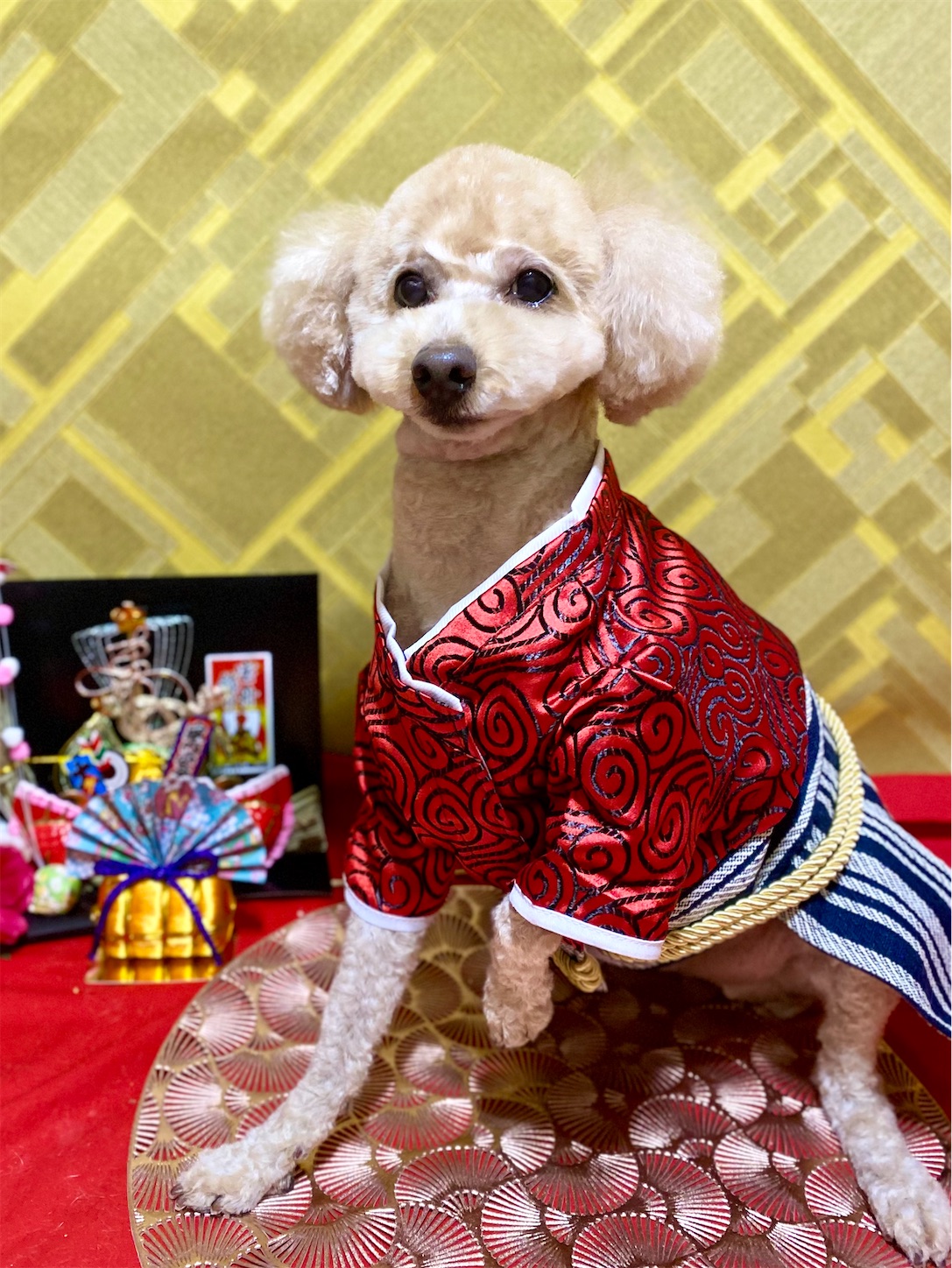 f:id:opachosalon:20241231235917j:image
