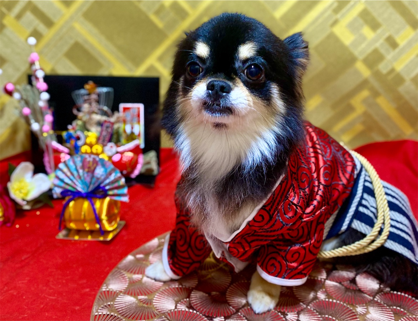 f:id:opachosalon:20241231235925j:image