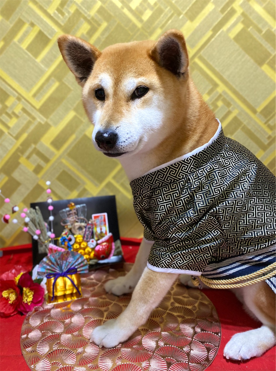 f:id:opachosalon:20250101000123j:image