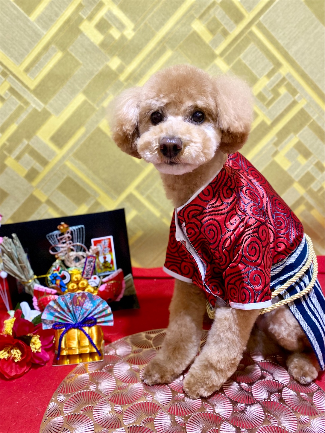 f:id:opachosalon:20250101020351j:image