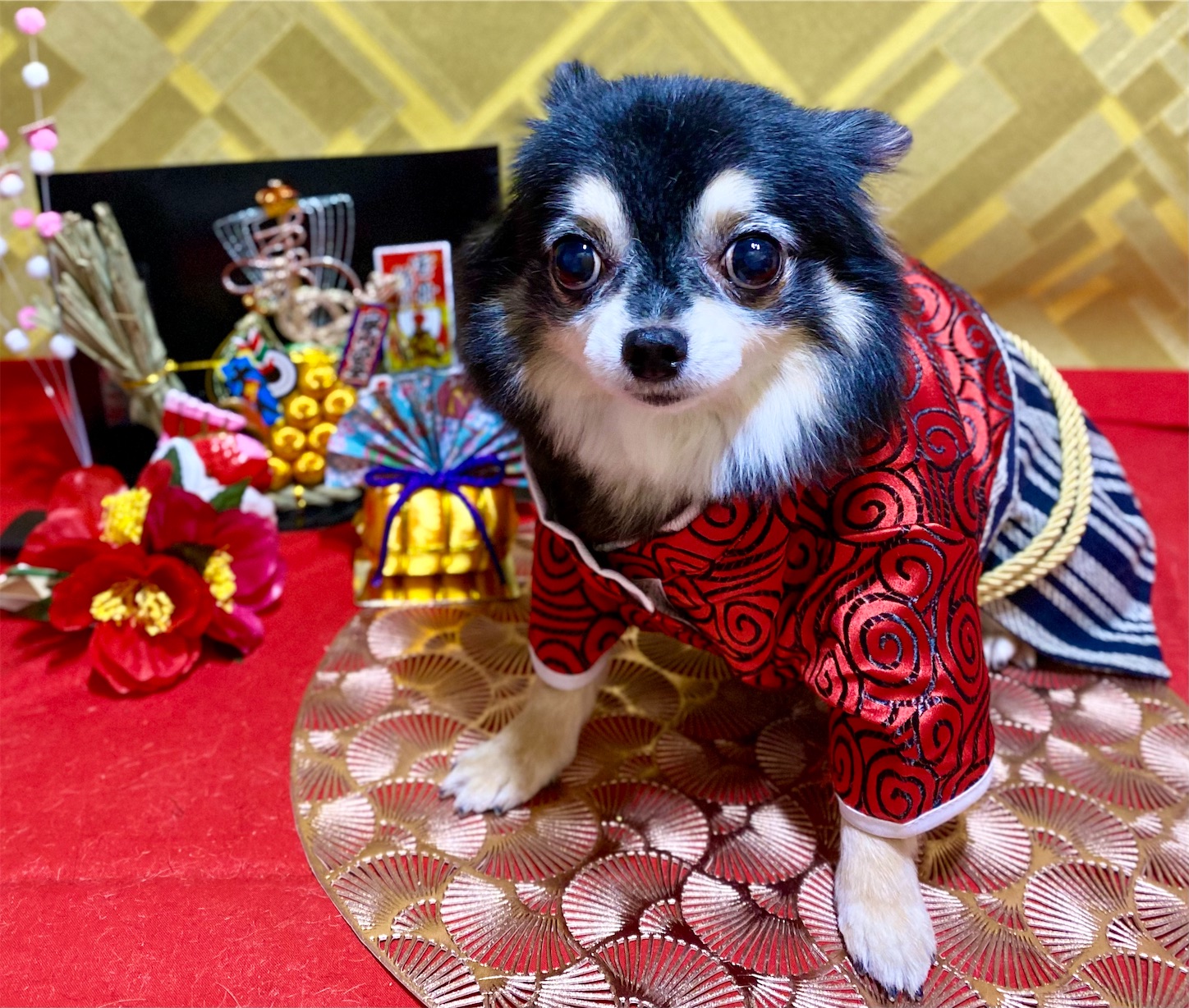 f:id:opachosalon:20250101020403j:image