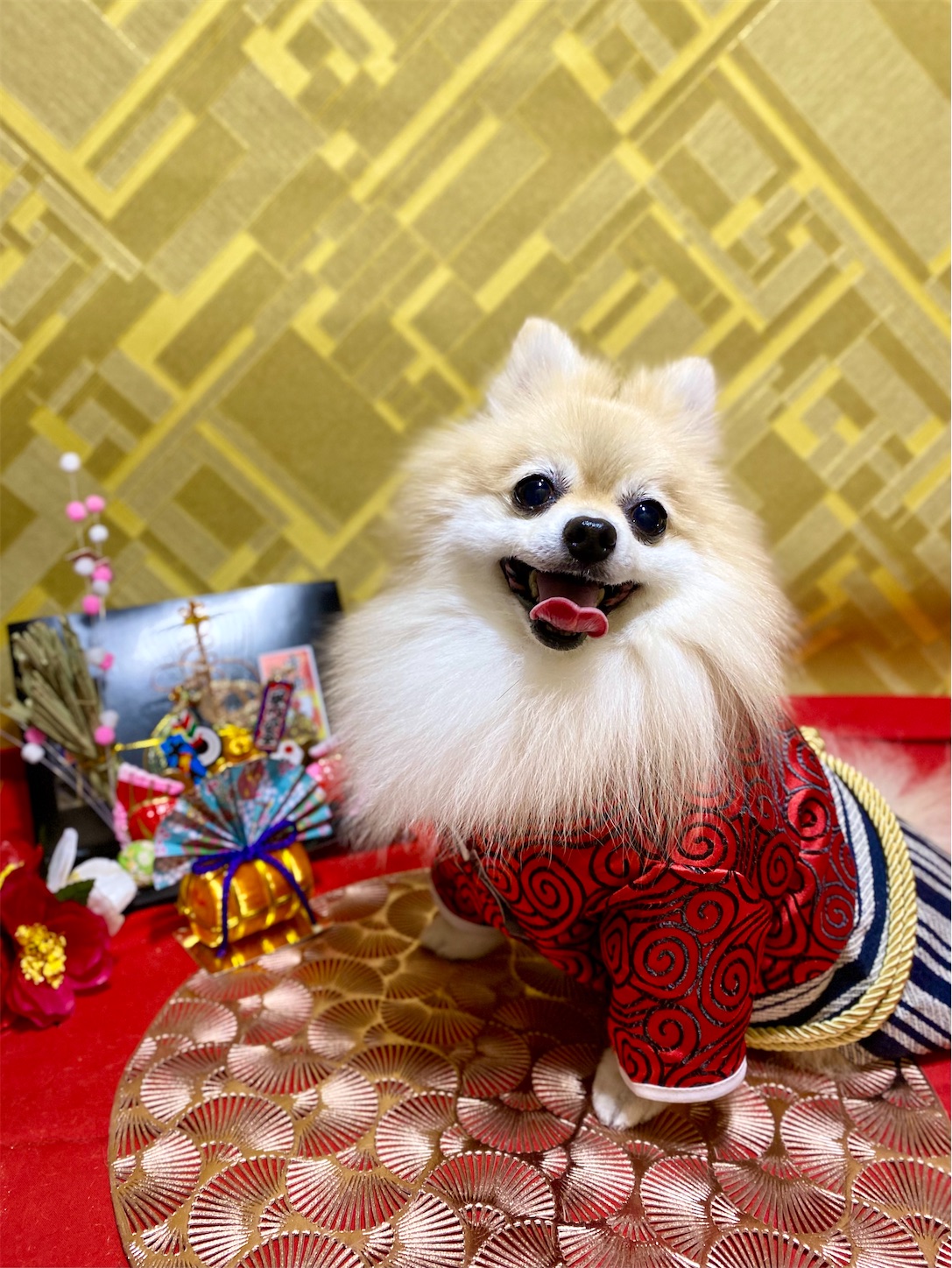 f:id:opachosalon:20250101020408j:image