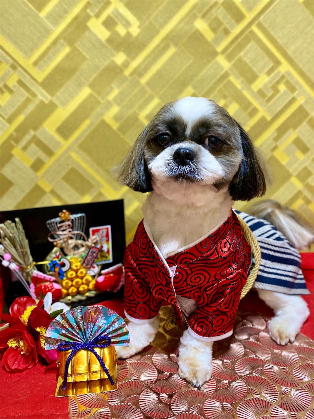 f:id:opachosalon:20250101020412j:image