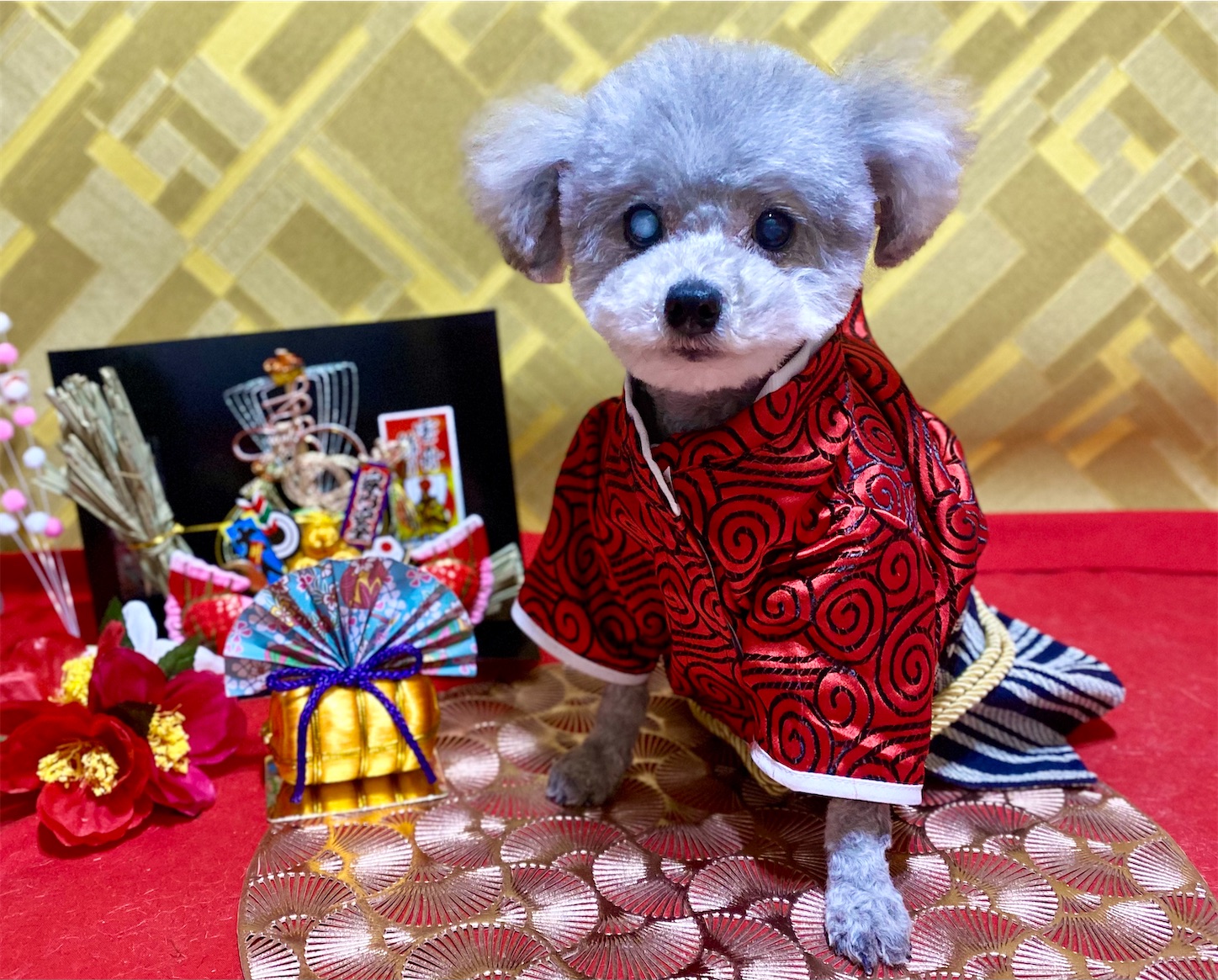 f:id:opachosalon:20250101020415j:image