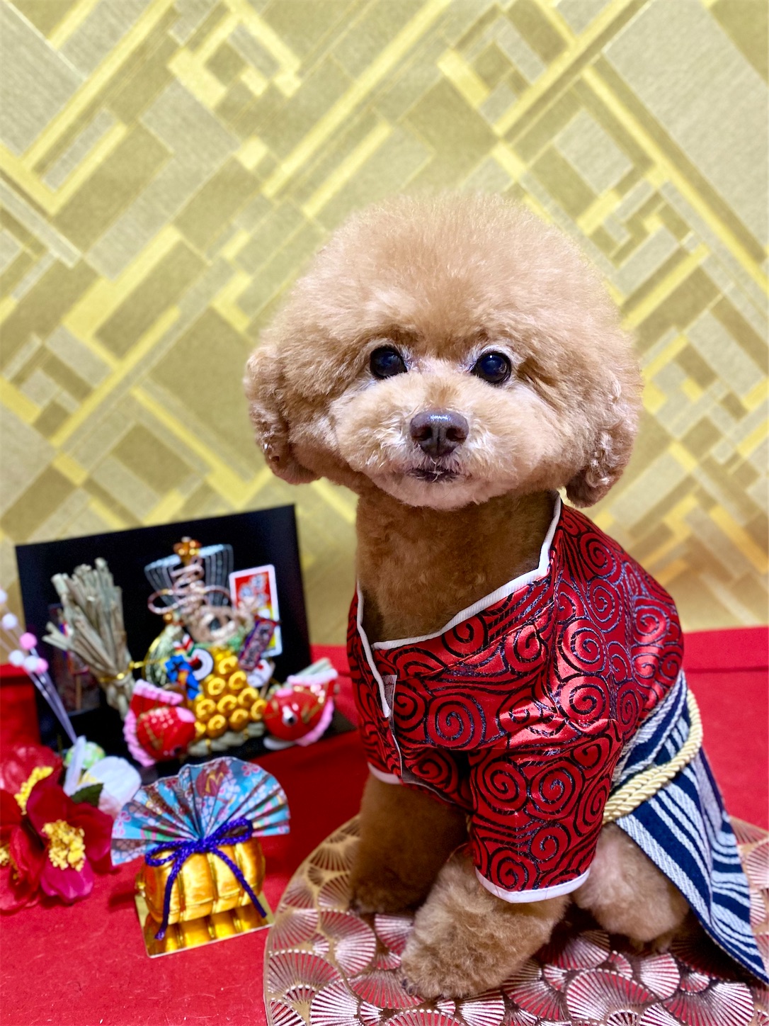 f:id:opachosalon:20250101020621j:image