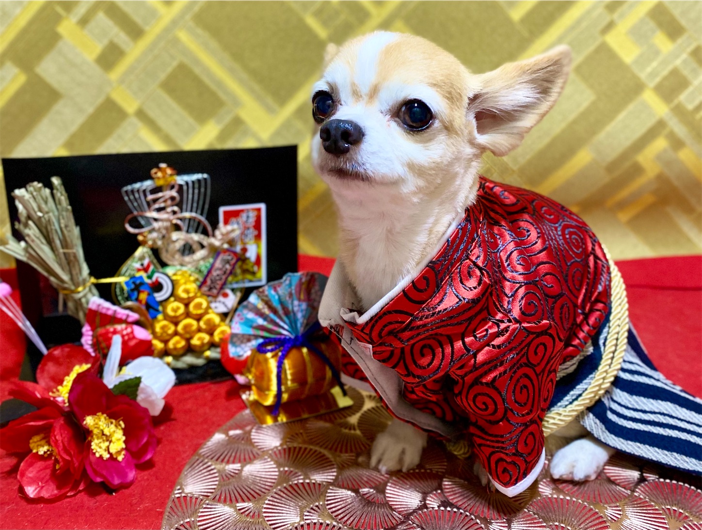 f:id:opachosalon:20250101020629j:image