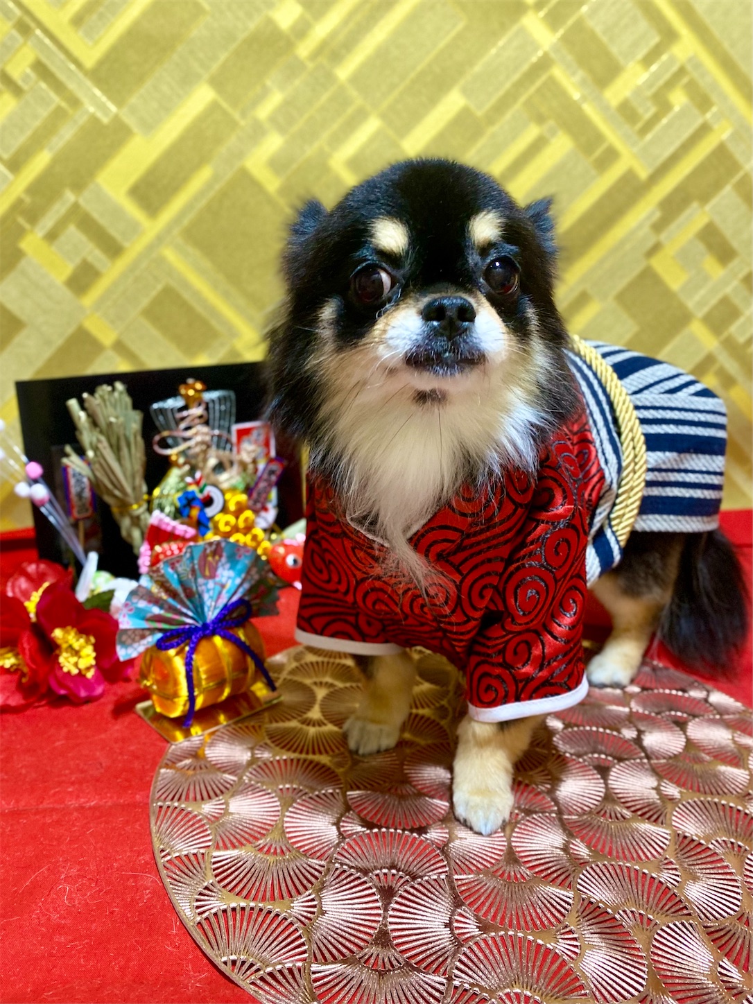 f:id:opachosalon:20250101020640j:image