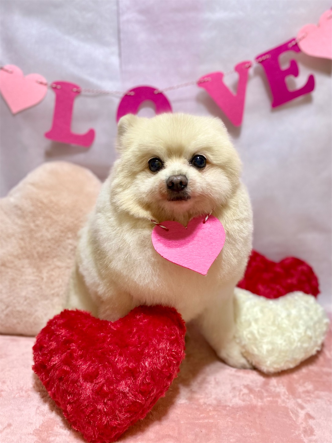 f:id:opachosalon:20250101024958j:image