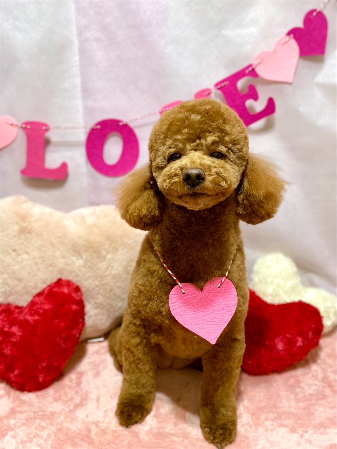 f:id:opachosalon:20250101025243j:image