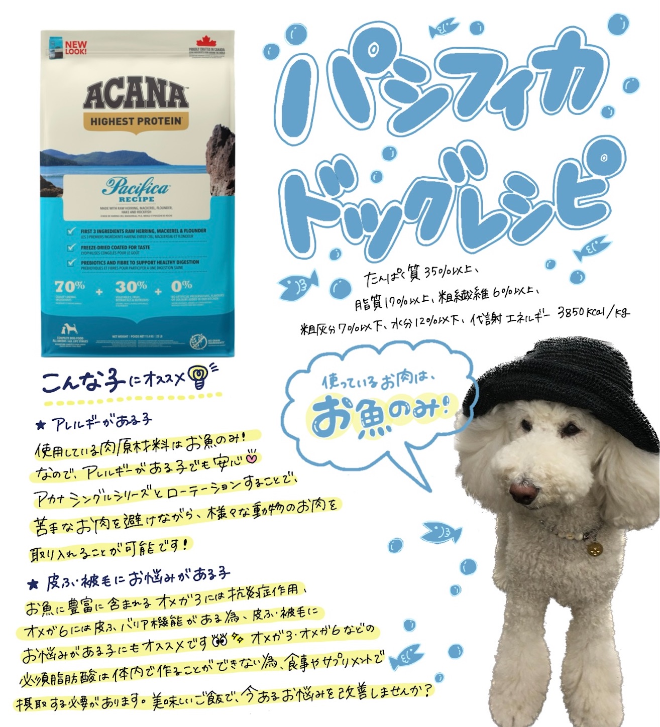 f:id:opachosalon:20250218223425j:image