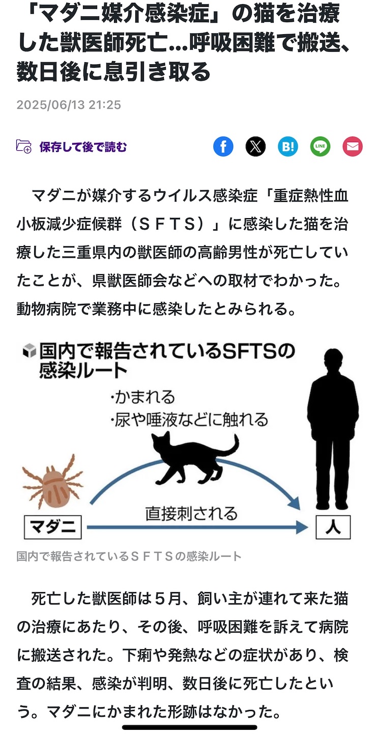 f:id:opachosalon:20250625092121j:image