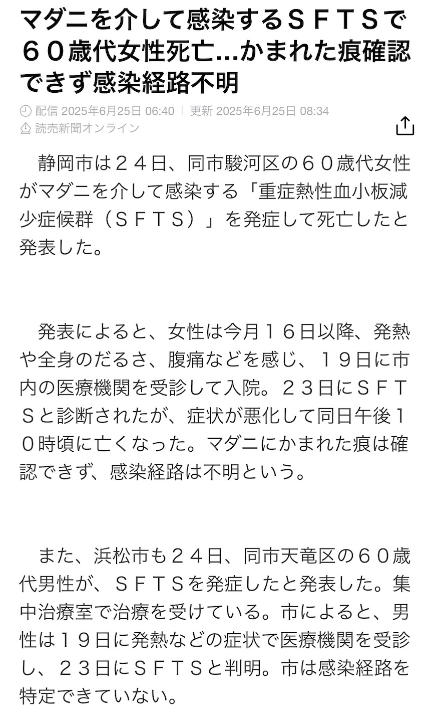 f:id:opachosalon:20250625092125j:image